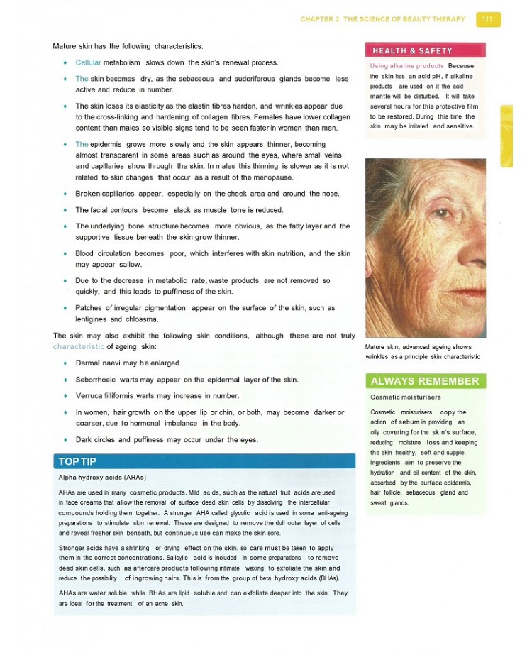 Professional Beauty Therapy Level 3 (PDF)