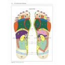 The Complete Guide to Reflexology 3rd Edition 2022 (PDF)