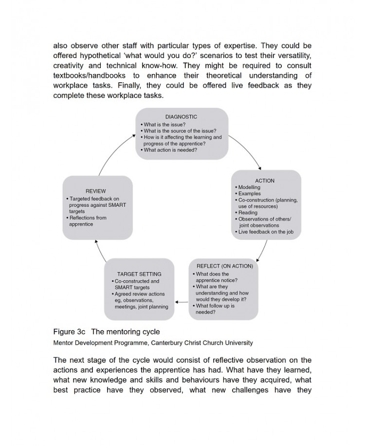 The New Apprenticeships: Facilitating Learning, Mentoring, Coaching and Assessing (Further Education), Edition 2019 (PDF)
