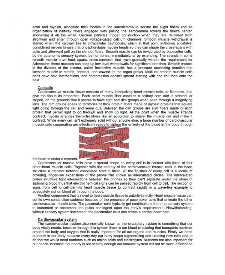 BTEC Level 3 Sport Science, Edition 2021 (PDF)